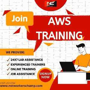 Networkers Champ Networkers Champ